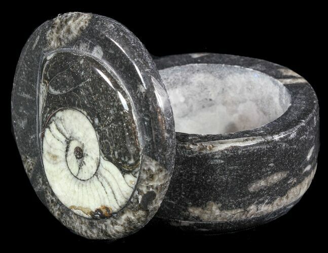 Small Fossil Goniatite Jar (Black) - Stoneware #48719